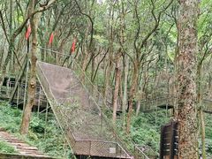 -富春桃源风景区