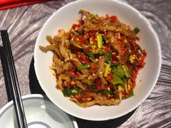 鸭掌筋-壹盏灯(惠农店)
