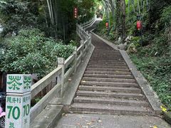 -龙井村