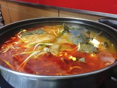 -弘烨 贵州酸汤 鱼火锅(东财店)