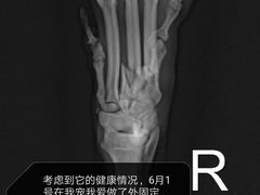 -瑞派宠物医院·24h·骨外科·皮肤科·全科宠物医疗转诊中心(沈阳浑南院)