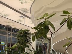 -大树餐厅(万达创始店)