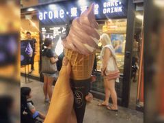 -富豪雪糕车流动点(尖沙咀店)