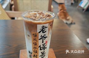 Osmanthus Little White Pear Latte