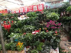 -秦美花卉(天朗·莱茵小城2期店)