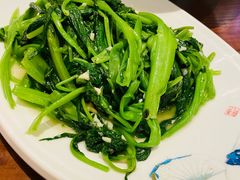 空心菜-渔傅印象滩涂霞浦海鲜(井大路店)