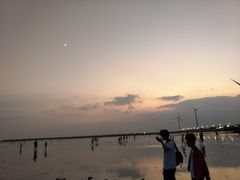 -上海棕榈滩海景酒店