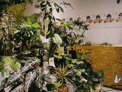 -缦云里花园餐厅