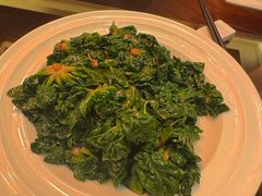 -明珠湖天鹅苑·农家菜馆