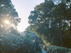 -西湖风景区十里琅珰-五云山