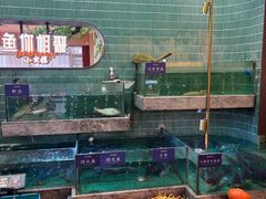 -鱼你相聚·河鲜馆(袁家岭店)