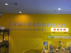 -神奇动物撸宠馆·羊驼·小浣熊·异宠(豫园店)