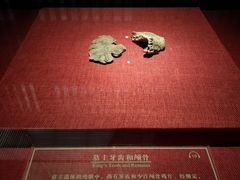 -南越王博物院