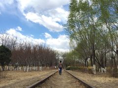 -永定河休闲森林公园