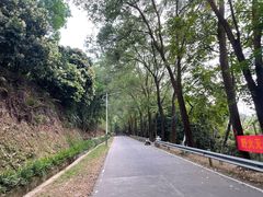 -风云岭森林公园