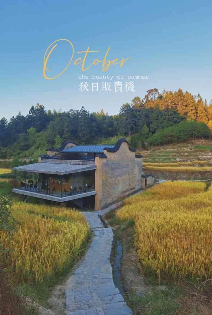 先锋厦地水田书店-"可能是时间不对,凑巧碰到一大群小朋友写生.