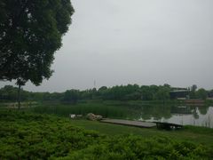 -尚贤河湿地