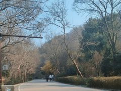 -南京市江宁方山