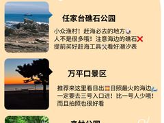 -日照海滨国家森林公园