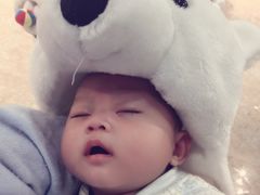 -多彩贵州城极地海洋世界