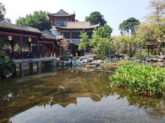 -顺峰山公园