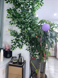 -痘院长·祛痘·科技美肤