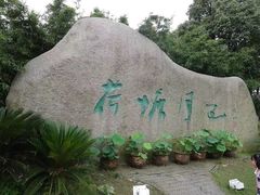 -荷塘月色湿地公园·向阳花洲