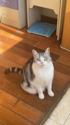 -本真坊美容美体沙龙