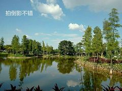 -广州国际生物岛