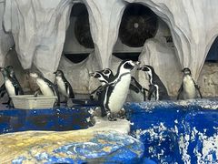 -太平洋海底世界