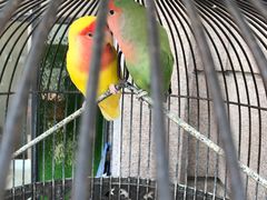 -老味道民宿(栈桥店)