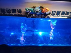 -成都浩海立方海洋公园