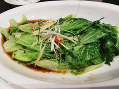 -东哥紫阳蒸盆子(旺座·现代城店)