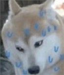 -怪噜范·老贵阳街头名小吃(鸿通城店)