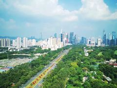 -The Lounge大堂酒廊·咖啡·沙拉·下午茶(金茂深圳JW万豪酒店)