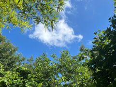 -火炉山森林公园