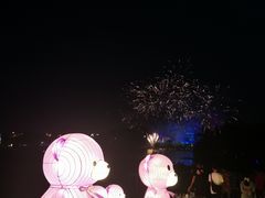 -大塘金香草谷