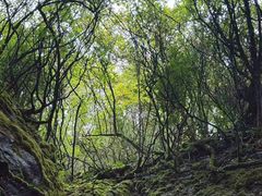 -神龙峡风景区