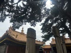 -五台山风景名胜区