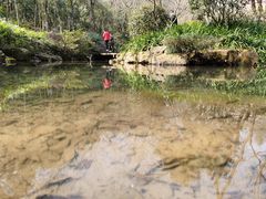 -杭州半山国家森林公园