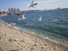 -银海大世界