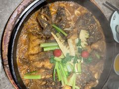 -老板恋上鱼(恒隆广场店)