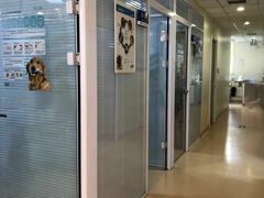 -瑞派·关忠动物医院(国瑞店)