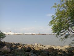 -吴淞炮台湾湿地森林公园烧烤区