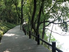 -天目湖山水园