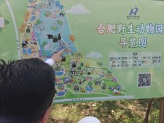 -合肥野生动物园
