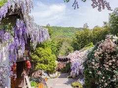 -天目湖山水园