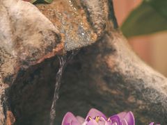 -莲泰式·中式·沐足·精油SPA采耳(天河店)