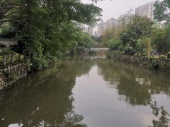-晓港公园