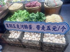-单家老院·院子里的青岛菜(沙子口店)